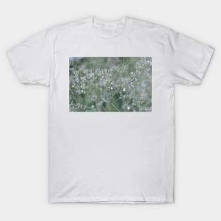 White Baby's Breath flowers in the garden T-Shirt